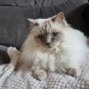 Meet your Posher, Gary